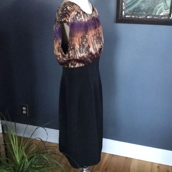 The Limited silky shaded blouson-style midi, sz 8 - Picture 3 of 6